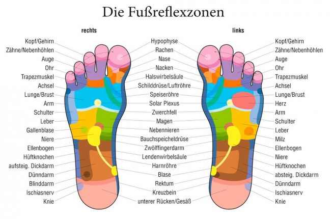 fussreflexzonen