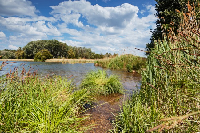 lobau