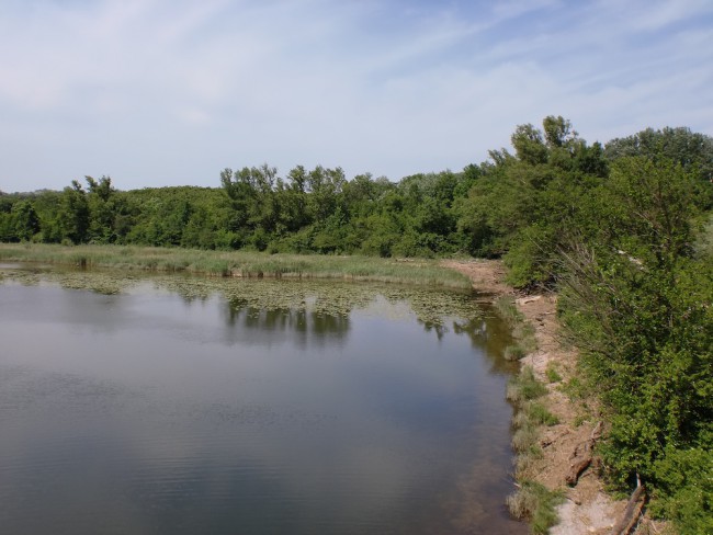 lobau-wanderung-1