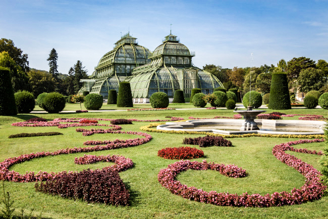 Ein Streifzug durch Wiens Palmenhäuser